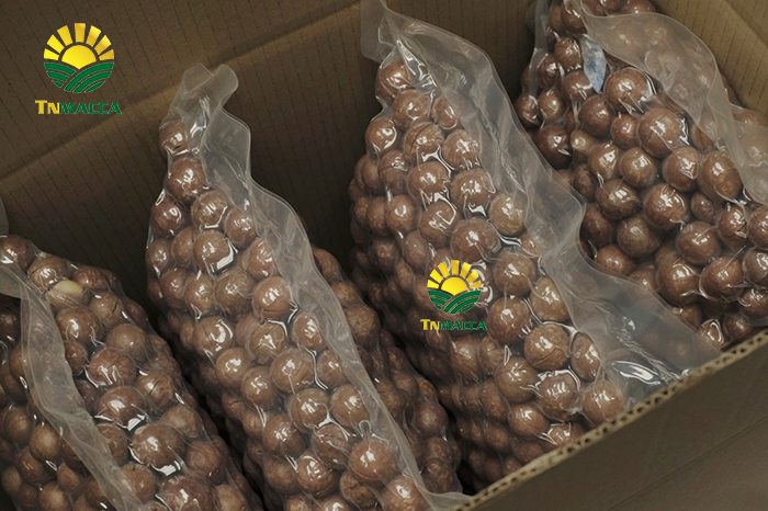 Macca sấy nứt size 19-21 mm Hộp 500g Thùng Sỉ 10 Kg